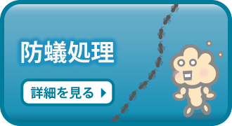 防蟻処理